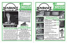 Sundance Leisure | Auction Flyer | 4.2009